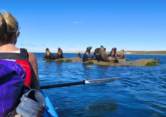 Kayaking in Peninsula Valdés