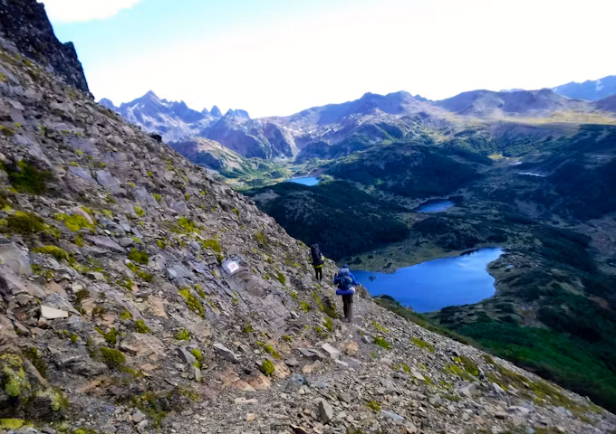 Dientes de Navarino