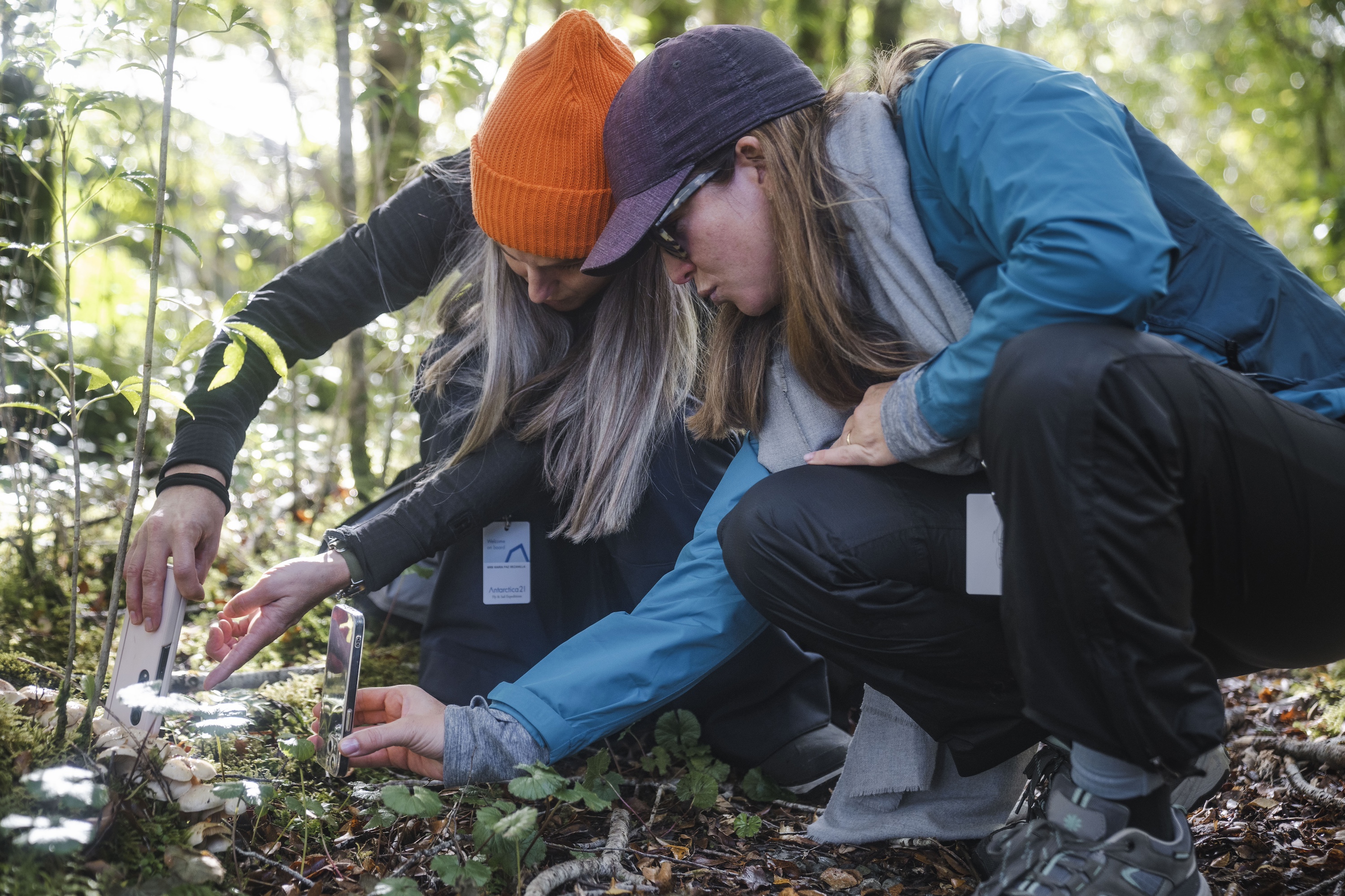Patagonia: Fjords, Glaciers & Beyond