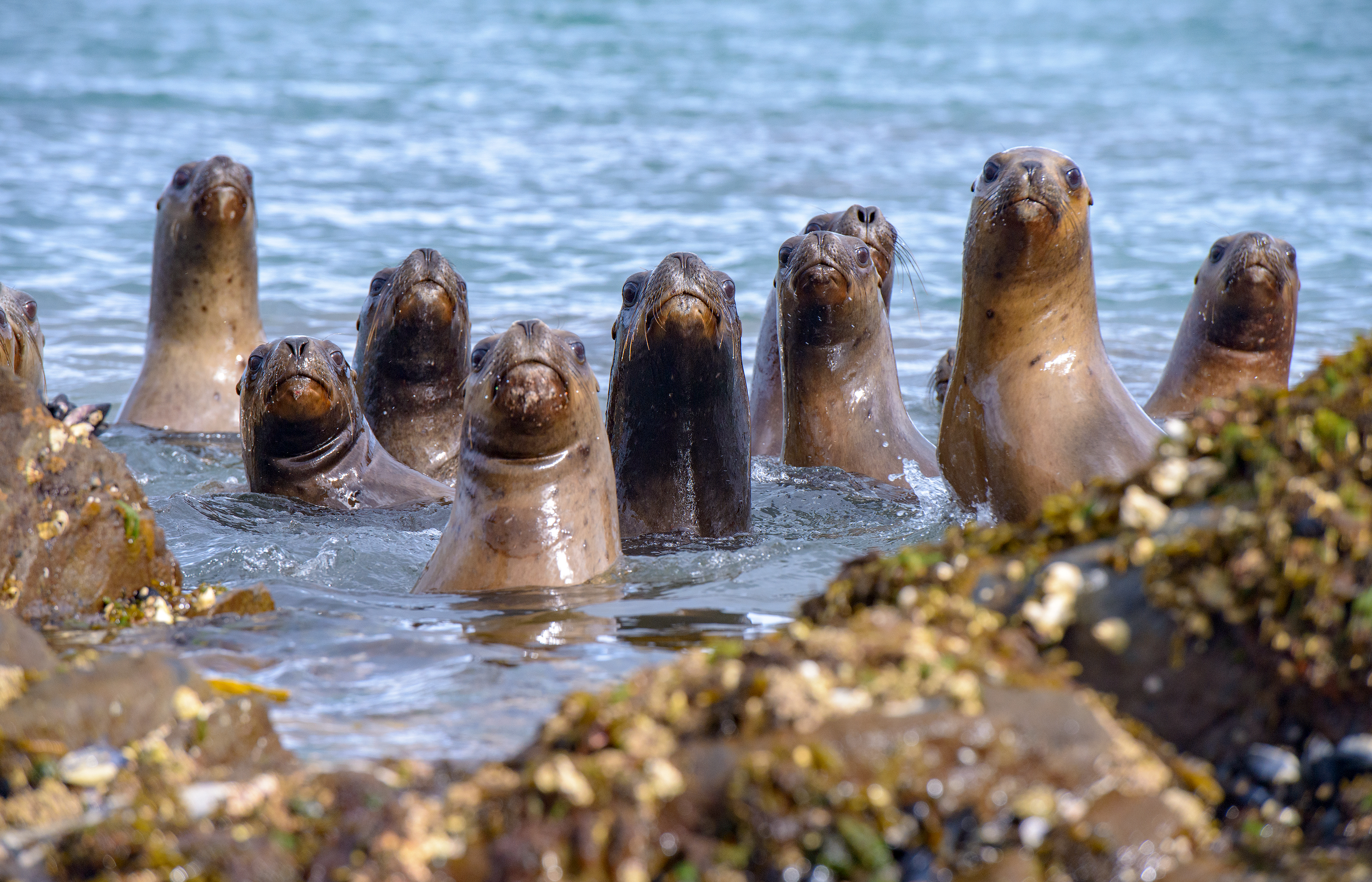 Patagonia: Fjords, Glaciers & Beyond