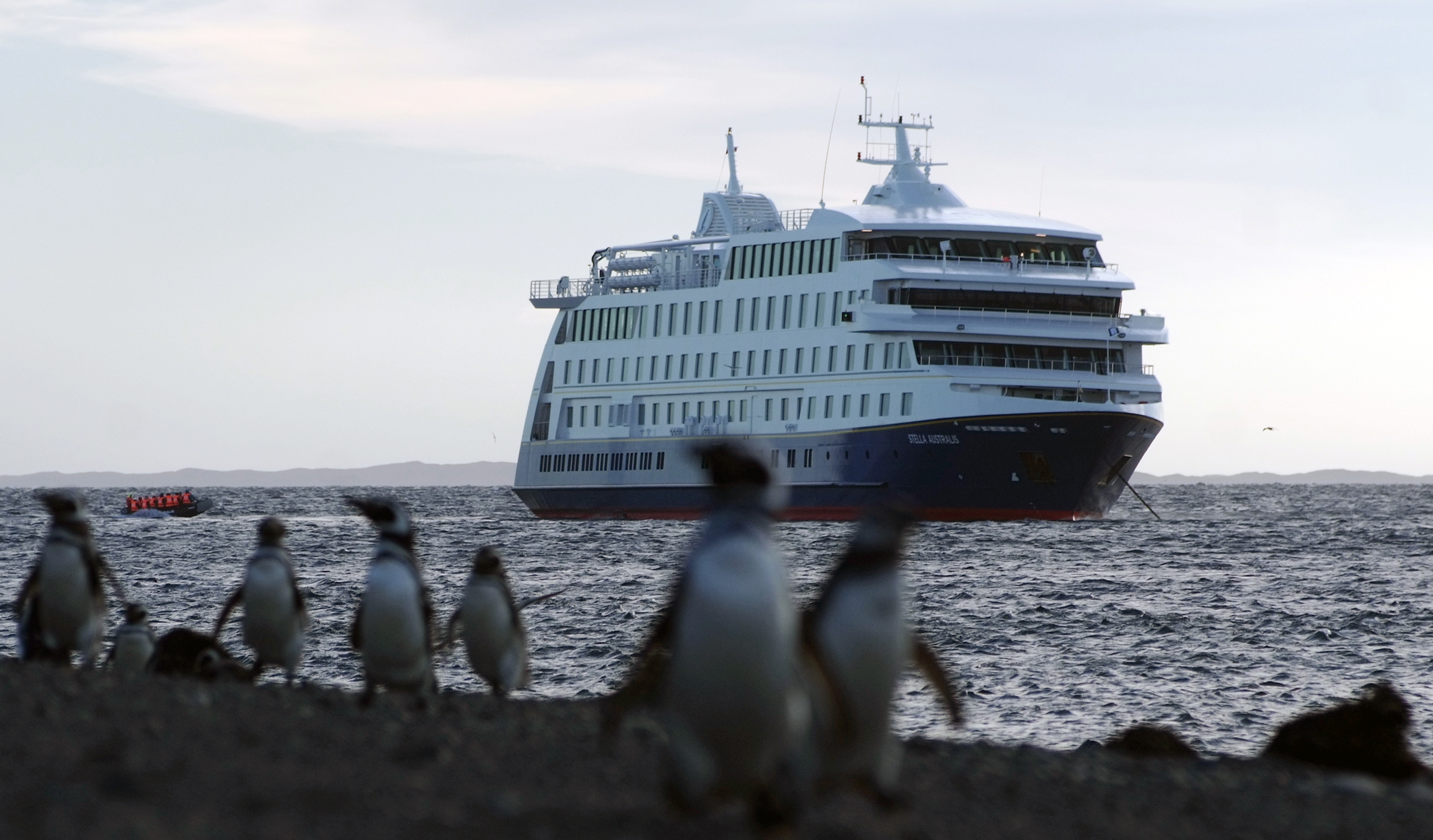 Stella Australis, Patagonian cruising vessel and Magellanic penguins, Patagonia