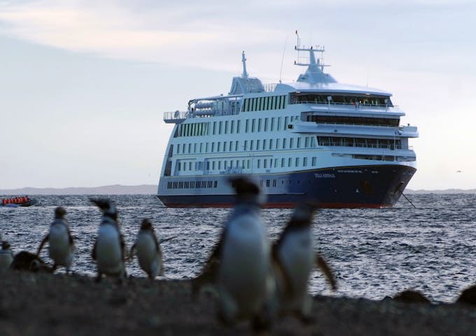 Stella Australis, Patagonian cruising vessel and Magellanic penguins, Patagonia