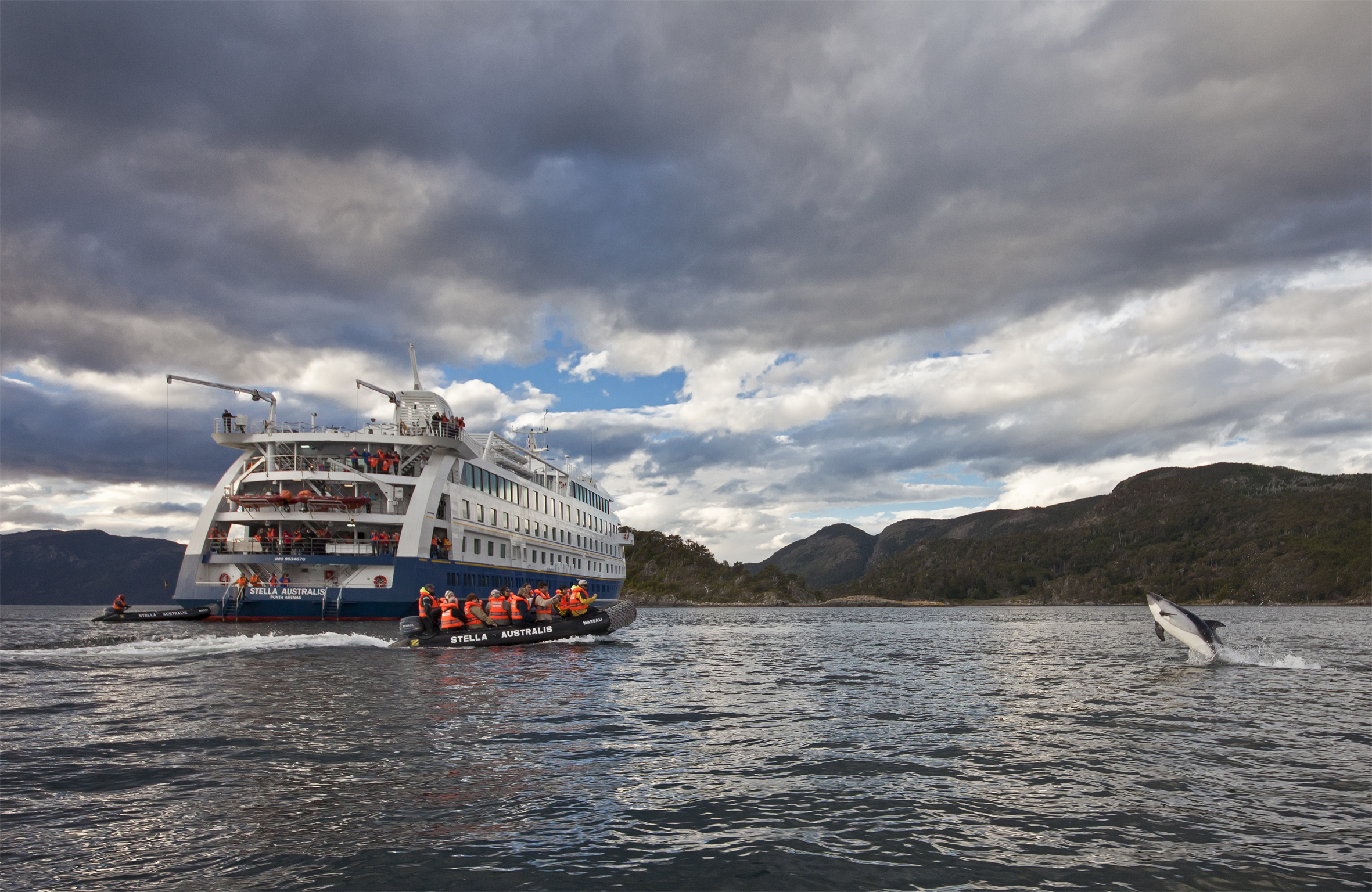 Stella Australis, Patagonian cruising vessel with dolphin leaping out of water, Patagonia