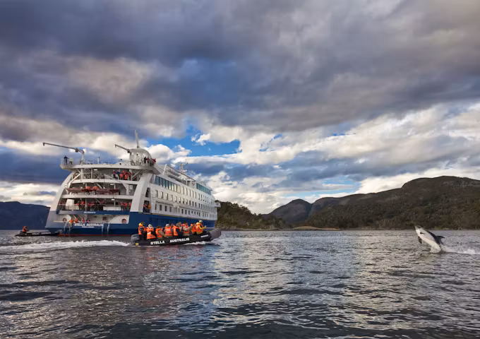 Stella Australis, Patagonian cruising vessel with dolphin leaping out of water, Patagonia