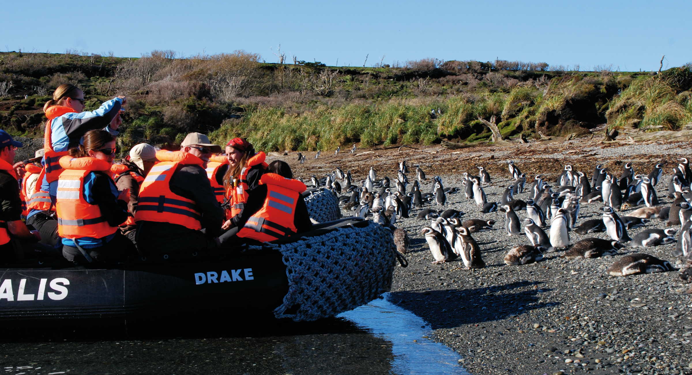 Watching Magellanic penguins from a zodiac at the Tucker Islets in Tierra del Fuego