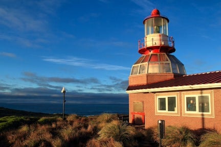 Cape Horn