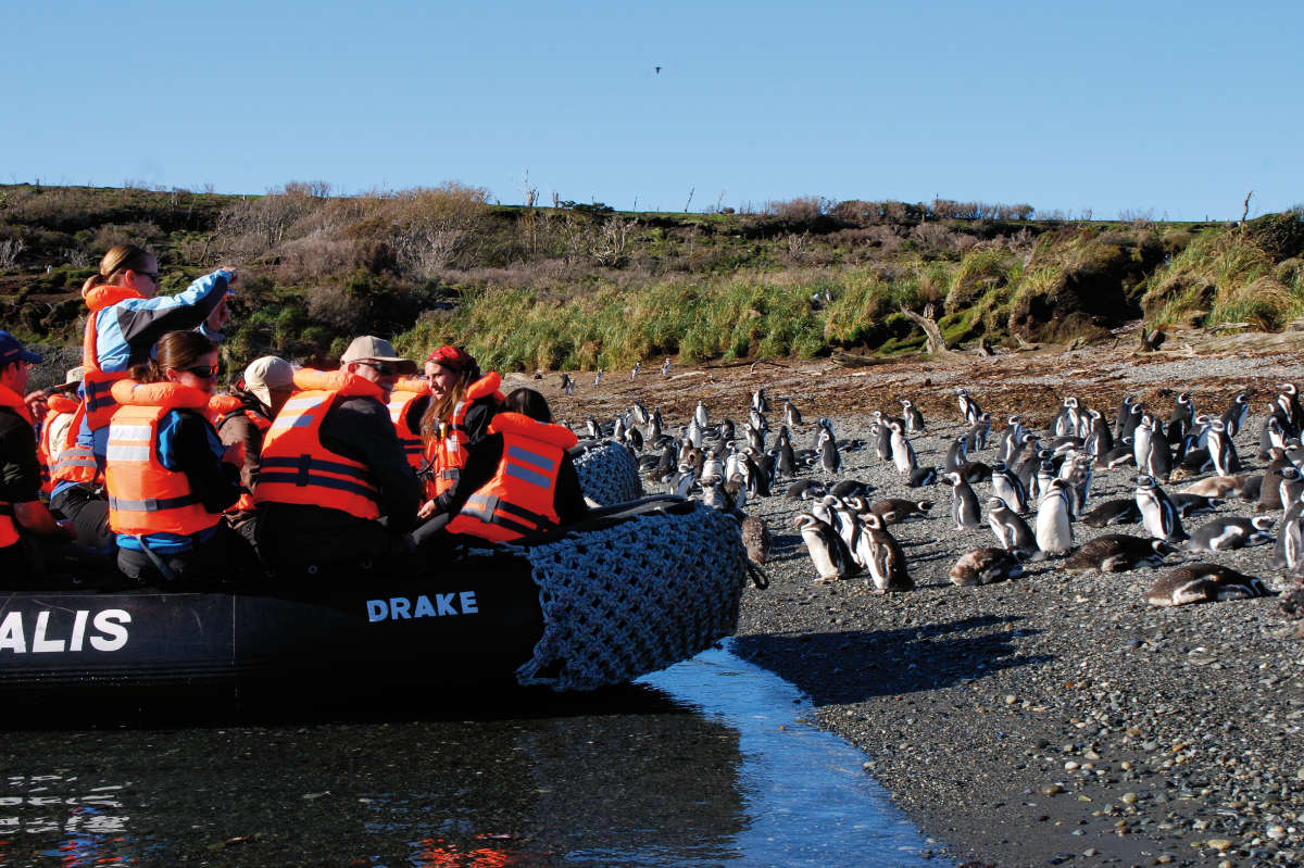 Zodiac excursion to see penguins at Tucket Islets, Chile