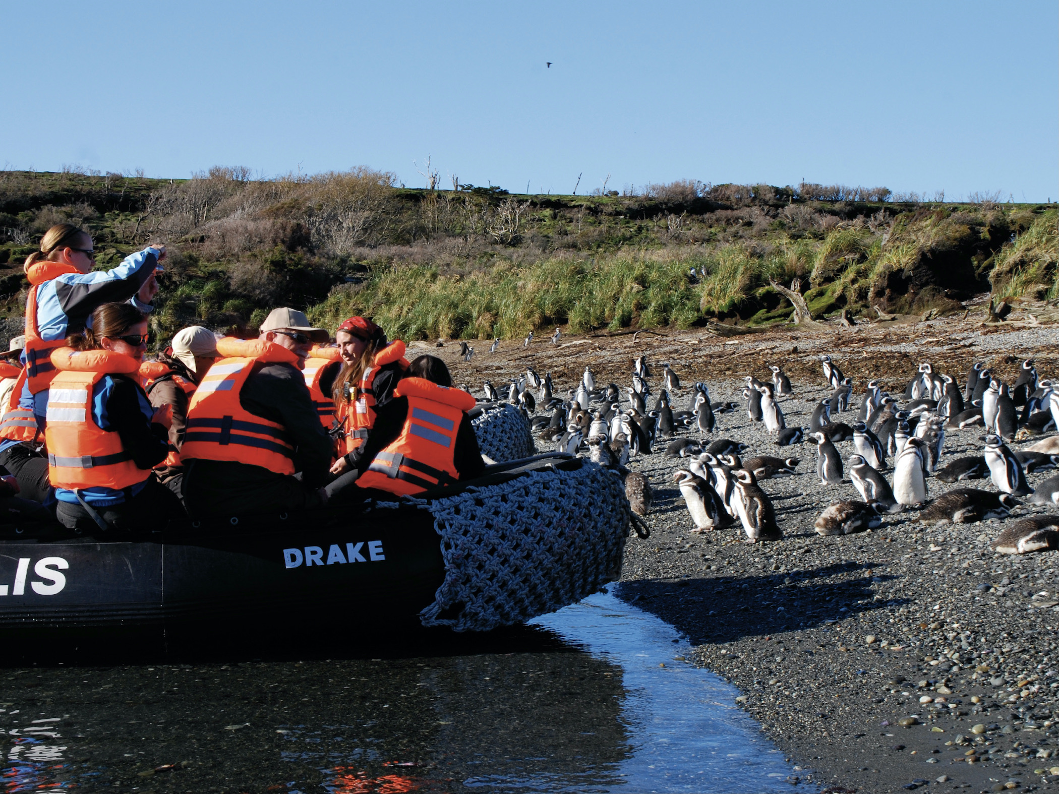 A zodiac with tourists with agellanic penguins on the Tucker Islets in Tierra del Fuego