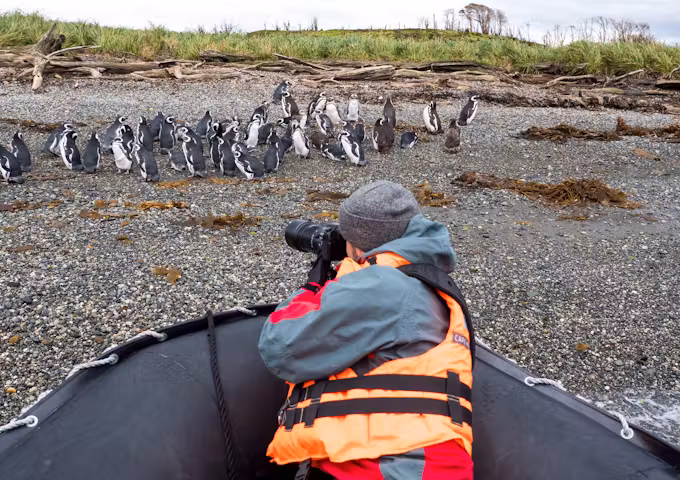 Tourist in zodiac photographing the Magellanic penguins on the Tucker Islets in Tierra del Fuego