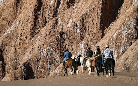 Horse riding from Awasi Atacama, Chile