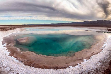 Cejar Lagoon, Atacama, Chile