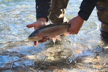 Fly-fishing on Lago del Desierto, Patagonia, Argentina