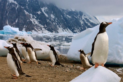 Patagonia: Gateway to Antarctica, 18 nights