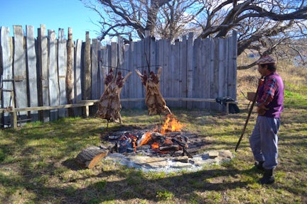 Food & drink in Patagonia