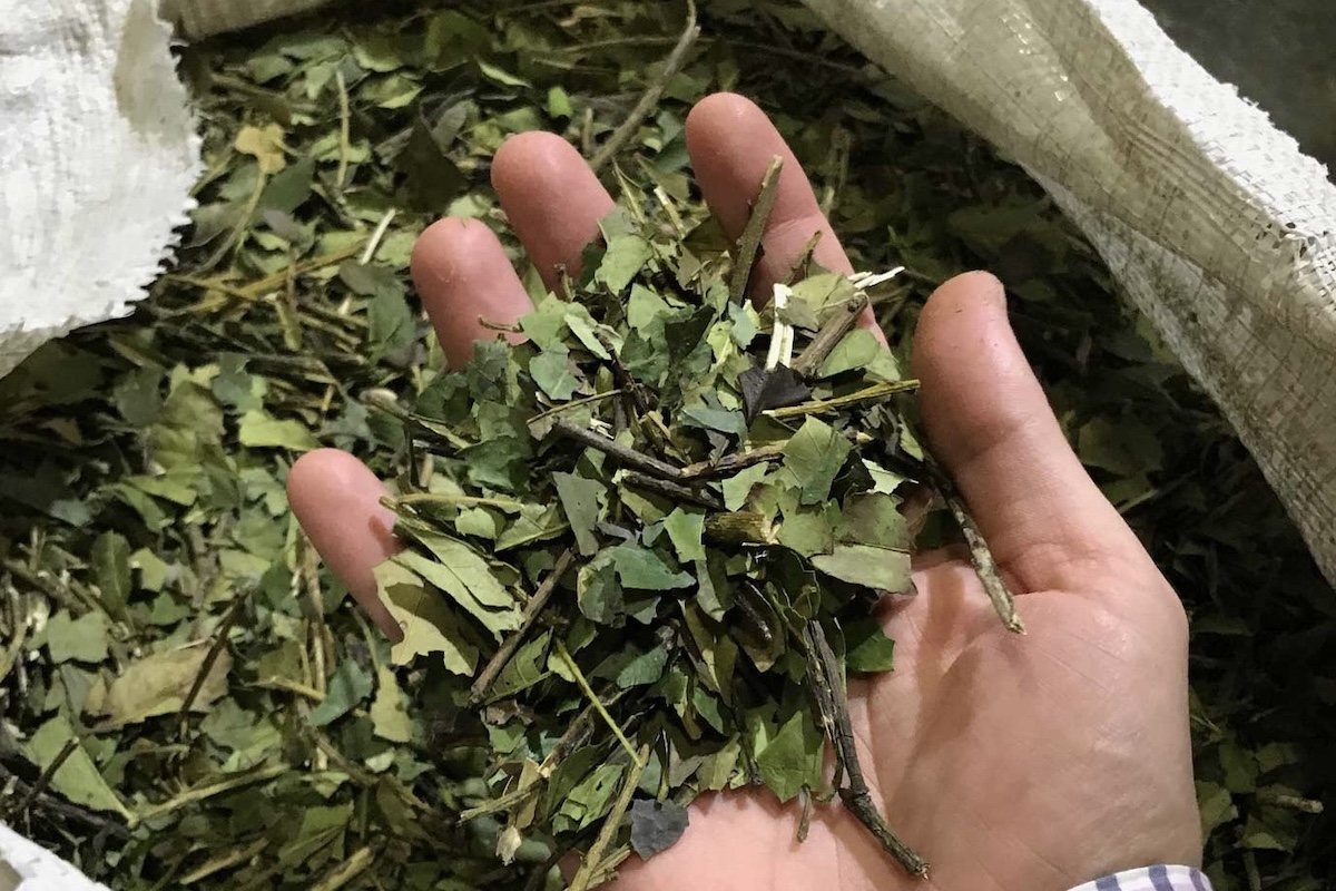 Awasi Iguazu excursions - mate mill