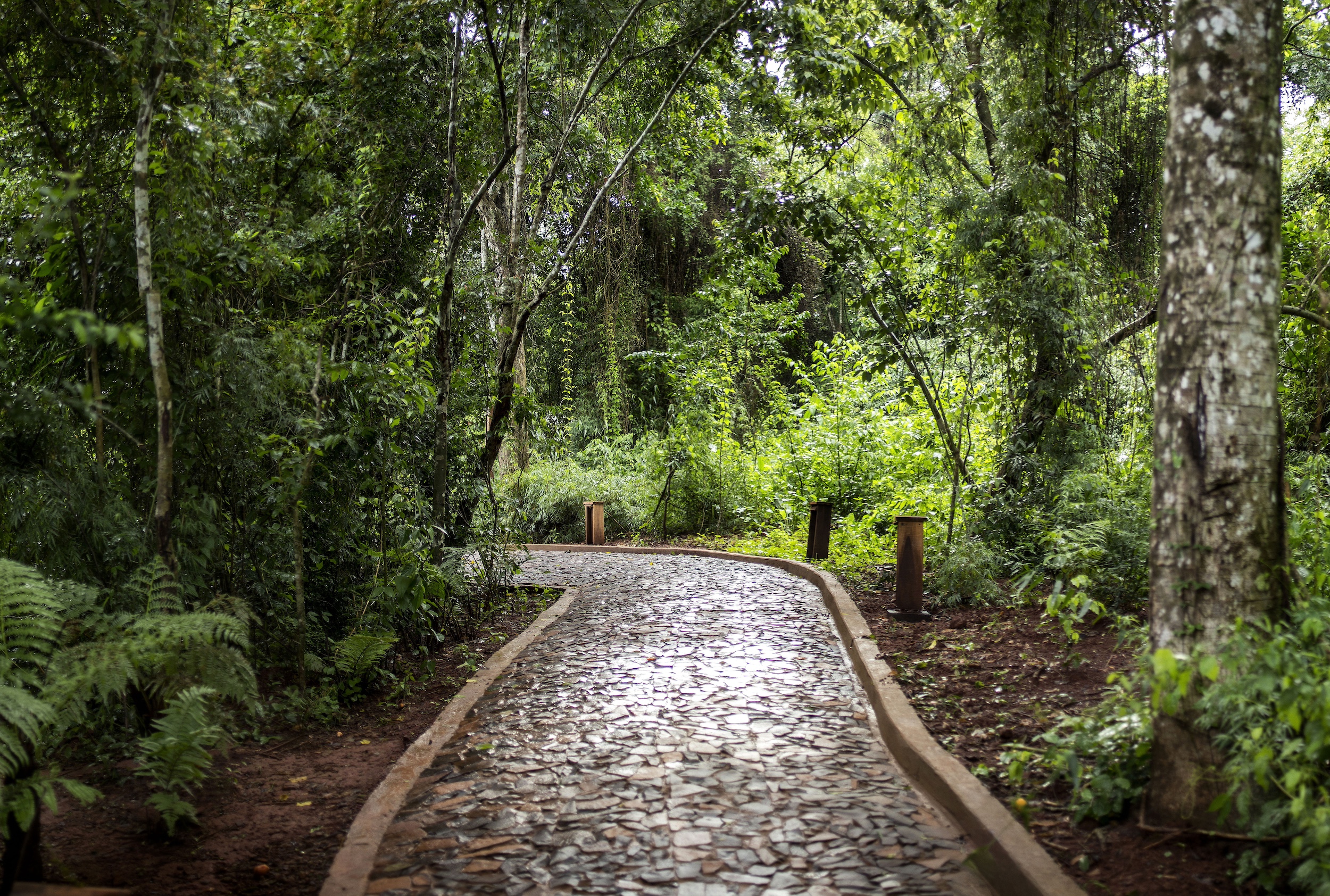 Iguazú Ultimate Luxury