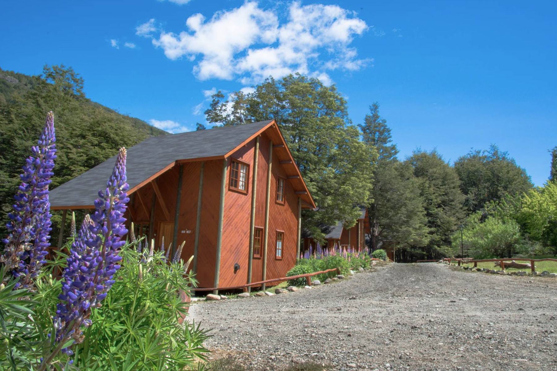 Green Baker Lodge in Aysen, Chile