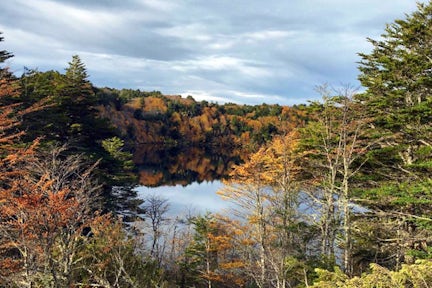The Barraco trek, Barraco Lodge, Tagua Tagua, Chilean Lake District, Chile