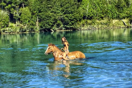 Horseriding at La Junta, Tagua Tagua, Chilean Lake District, Chile
