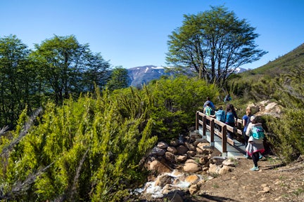 Alerce Andino National Park, Puerto Varas, Chilean Lake District, Chile
