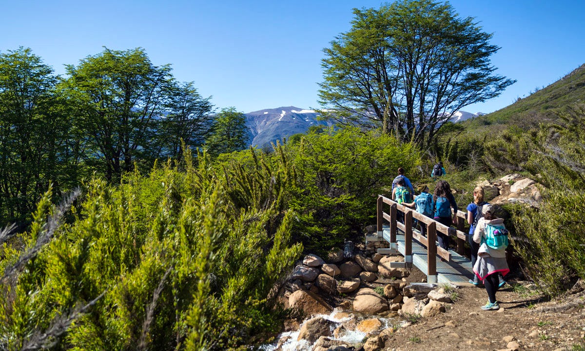 Forest Park Map Afan Masts Trail Map 7+ Thousand Angola Beauty