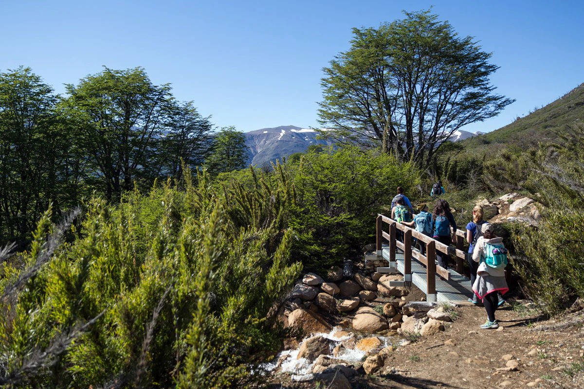 Discover Alerce Andino National Park Explore With Swoop Patagonia Discover Alerce Andino National Park Explore With Swoop Patagonia