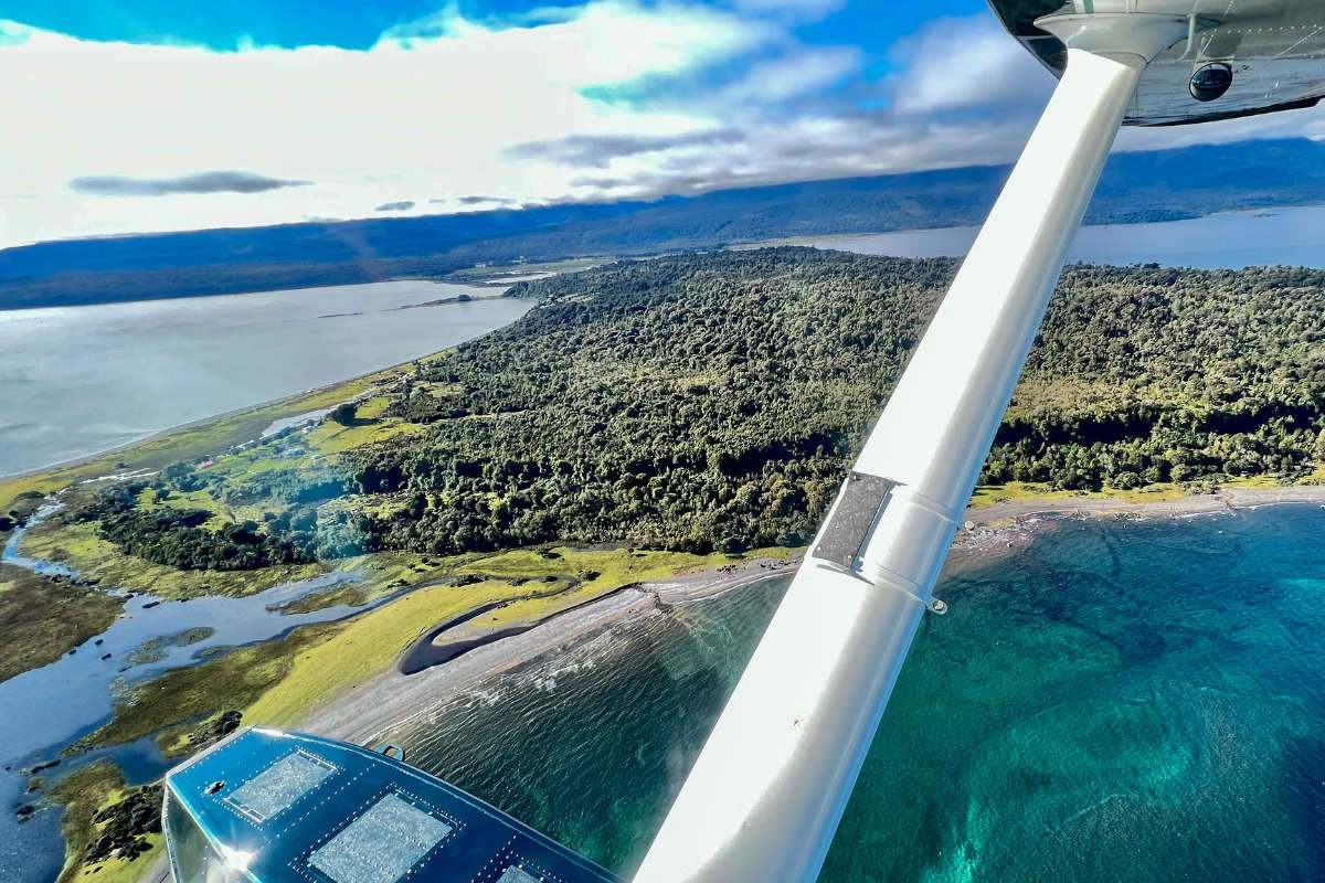 Highlights of Pumalín National Park