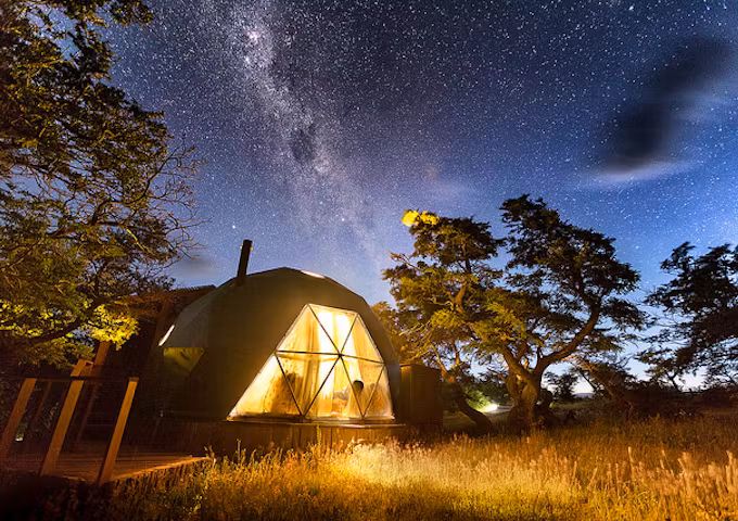 Safari in Southern Patagonia