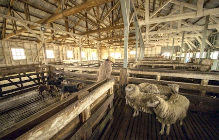 Heritage tour at Estancia Cerro Guido, Patagonia, Chile