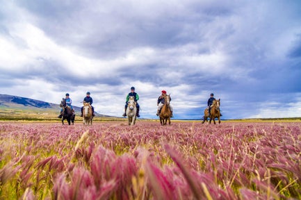 Las Flores horseride, Patagonia, Chile