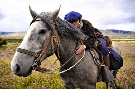 Las Flamencos Lagoon horseride, Patagonia, Chile