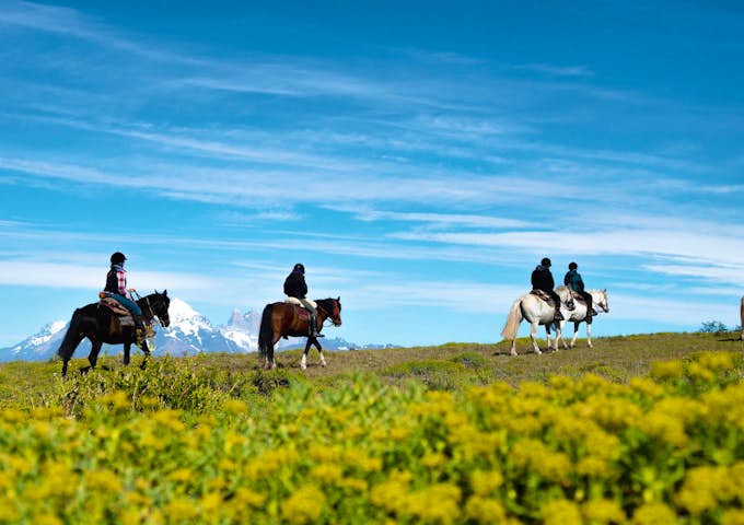 Horse riding from Estancia Cerro Guido