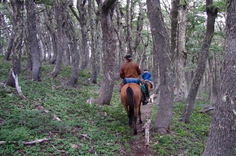 Horseback Riding in Patagonia