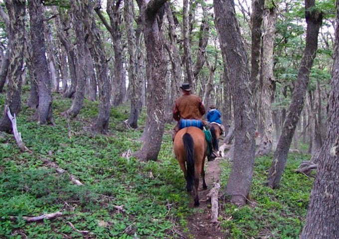 Horseback Riding in Patagonia