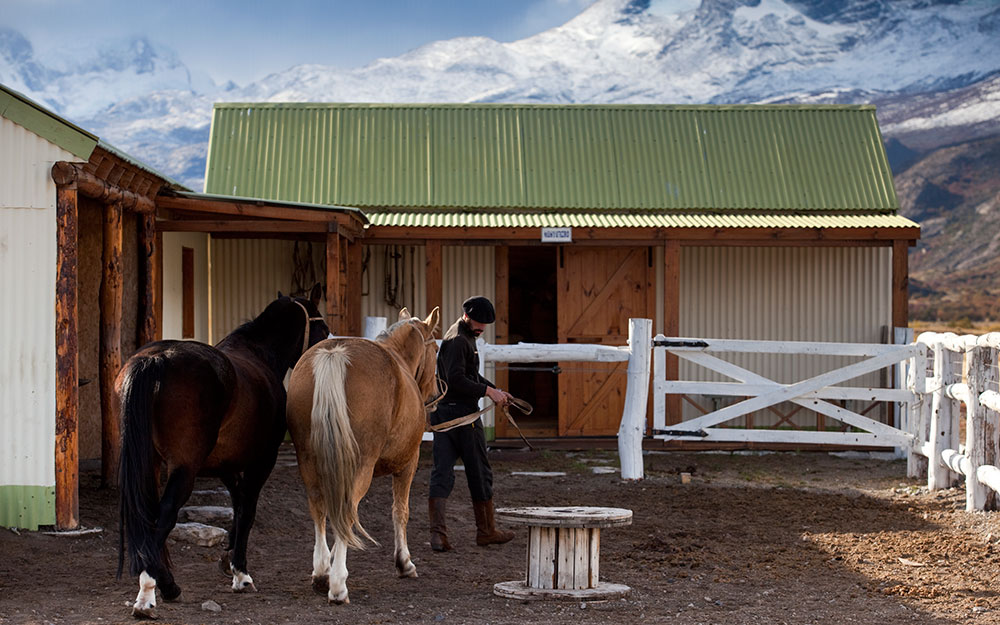 Horses at the stables, Estancia Cristina, Patagonia