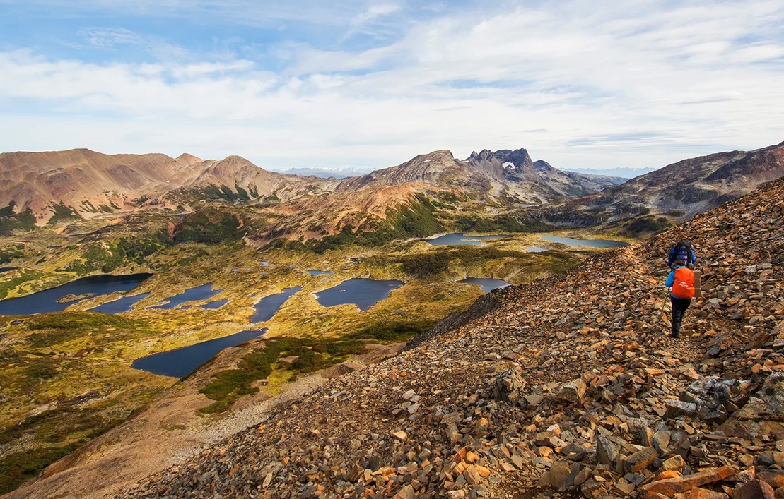 Dientes de Navarino Trek