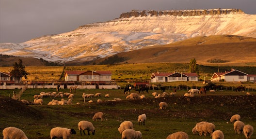 Horse Riding in Torres del Paine