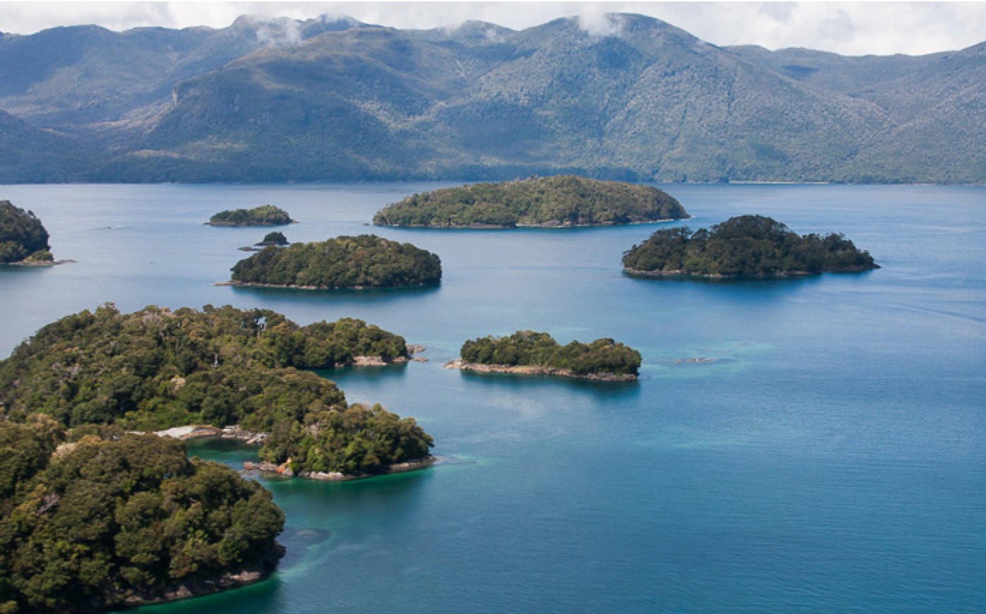 Isla Magadalena National Park, Patagonia, Chile
