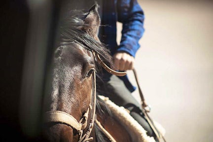 Beter horse ride, Atacama, Chile