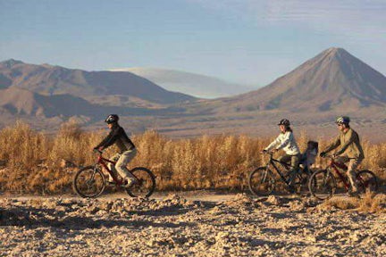 Catarpe bike ride, Atacama, Chile