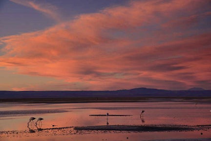 Gran Salar tour, Atacama, Chile