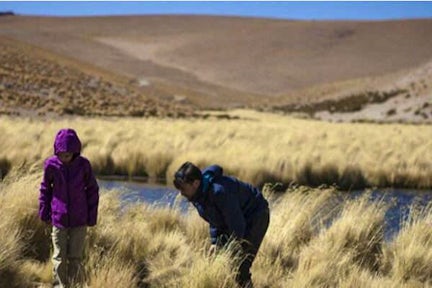 Lagunas Altiplanicas tour, Atacama, Chile