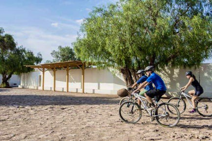 Piedra de la Coca bike ride, Atacama, Chile