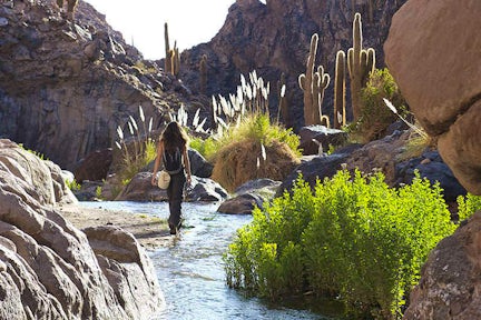 Punta del Inca hike, Atacama, Chile