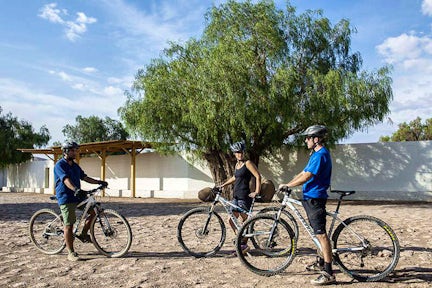 Tambo bike ride, Atacama, Chile