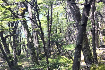Reserva Vespigniani, Patagonia, Argentina