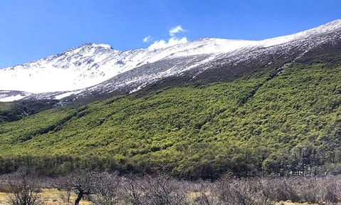 Los Huemules Nature Reserve, Patagonia, Argentina