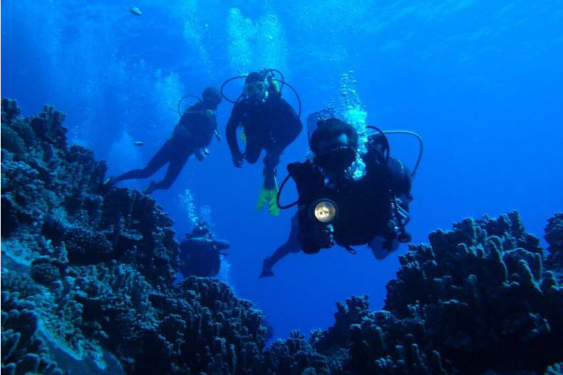 Scuba diving off Rapa Nui