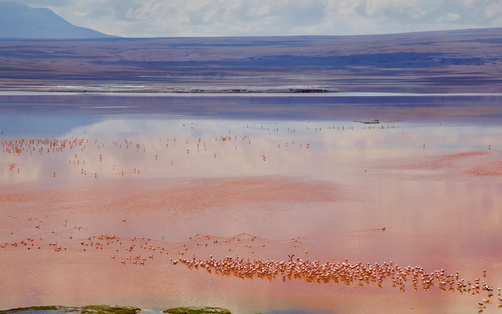 Explore Uyuni Salt Flats and Atacama