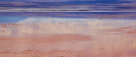 Explore Uyuni Salt Flats and Atacama